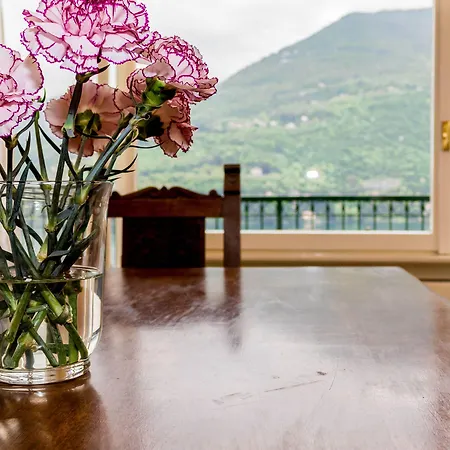 Joivy Garden Oasis - 1br With Balcony & Parking
